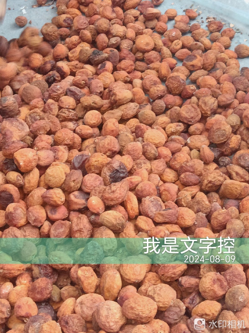 新疆伊犁吊杏干
