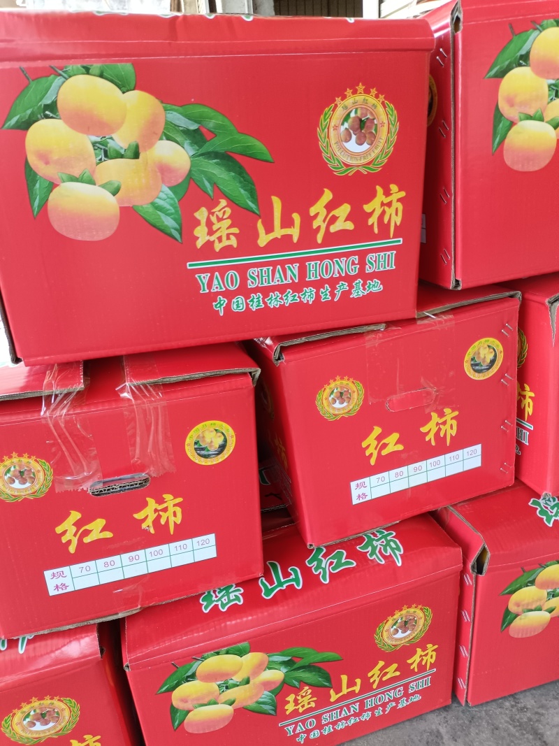 大量脆柿，大红柿，商品果，电商果