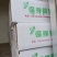干白果，无硫干白果仁，真空包装白果仁鲜白果等