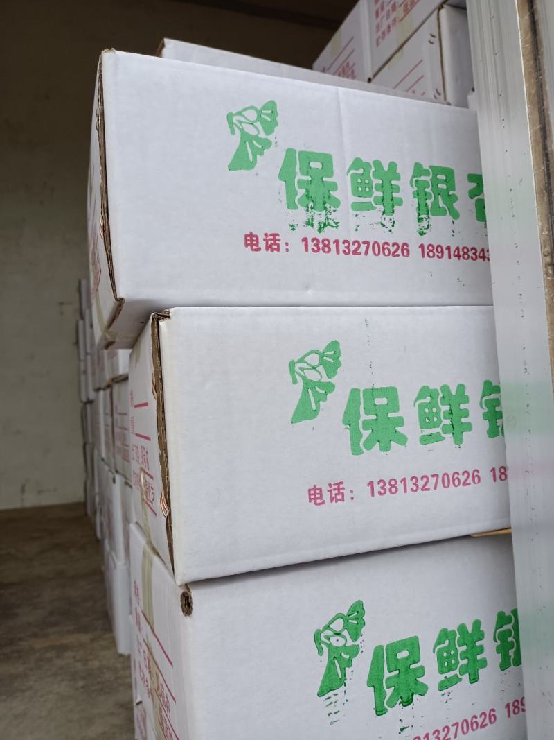 干白果，无硫干白果仁，真空包装白果仁鲜白果等