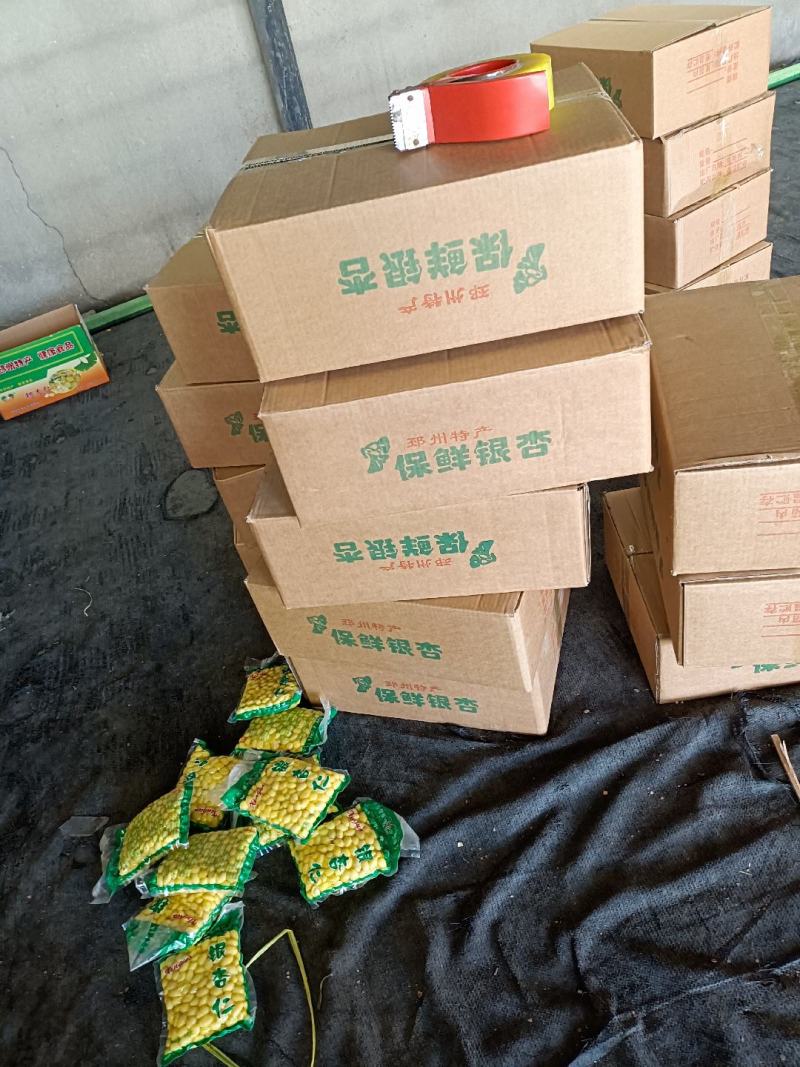 干白果，无硫干白果仁，真空包装白果仁鲜白果等