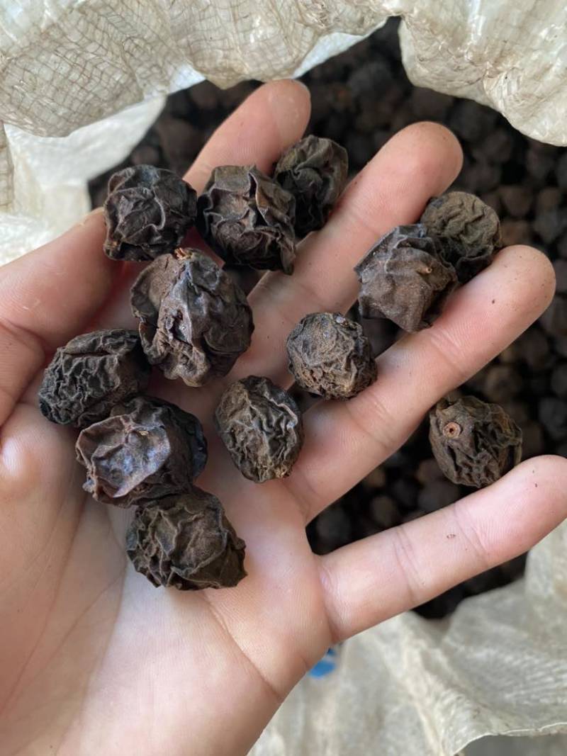 正宗烟熏乌梅，数量多几百吨，需要的联系