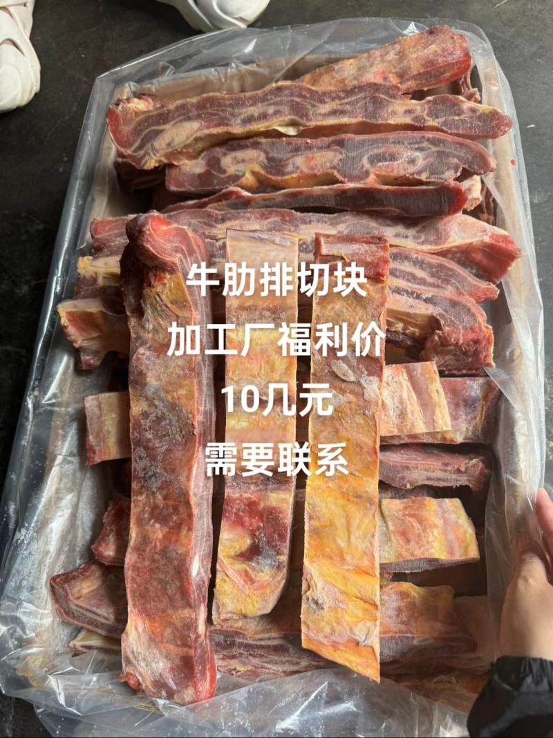 牛肋排可根据客户要求分割厂家直销量大从优