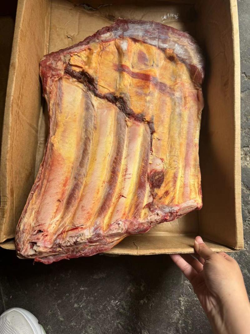 牛肋排可根据客户要求分割厂家直销量大从优