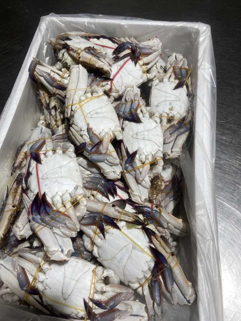 精品冷冻梭子蟹蟹煲餐饮优质好货，不做空壳蟹