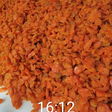 庆阳特产杏铺杏干