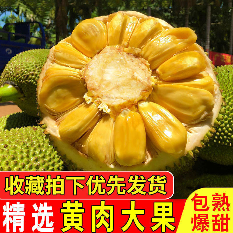 黄肉菠萝蜜一件代发，批发