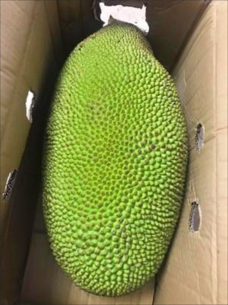 黄肉菠萝蜜一件代发，批发