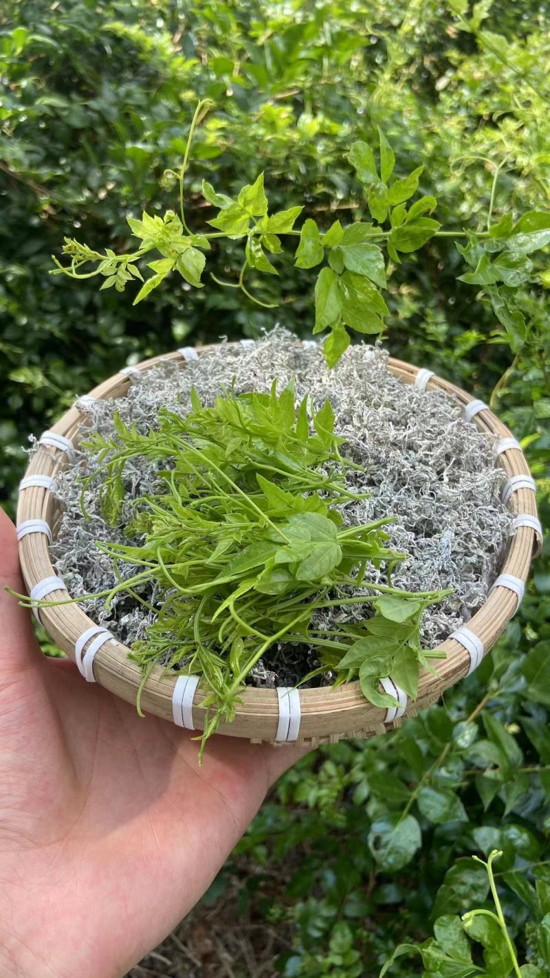 莓茶