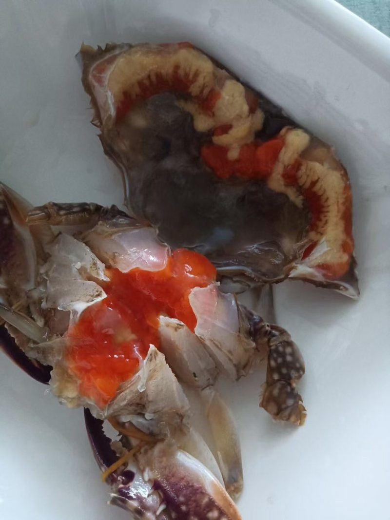 海捕冷冻满黄满膏精品大母梭子蟹三点红梭子蟹！做呛蟹腌制蟹首先