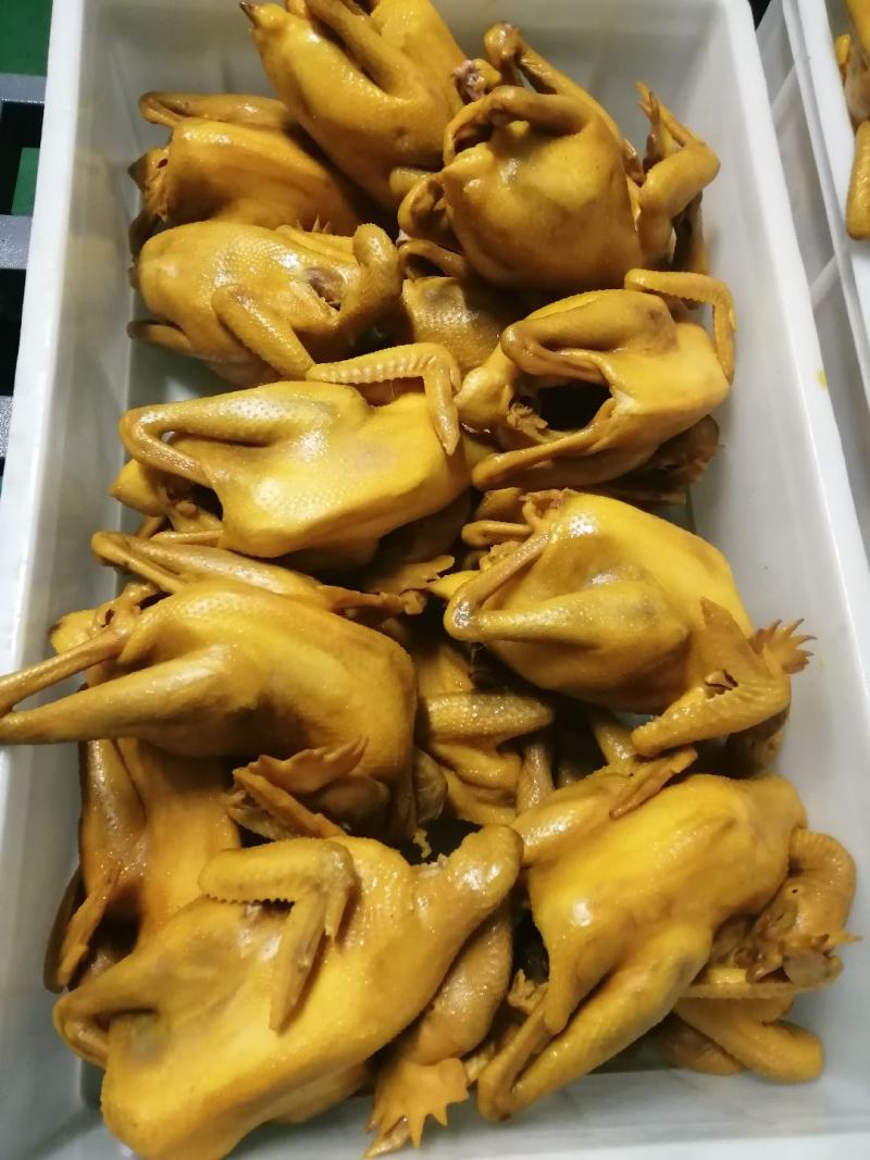 盐焗鸡盐焗乳鸽
