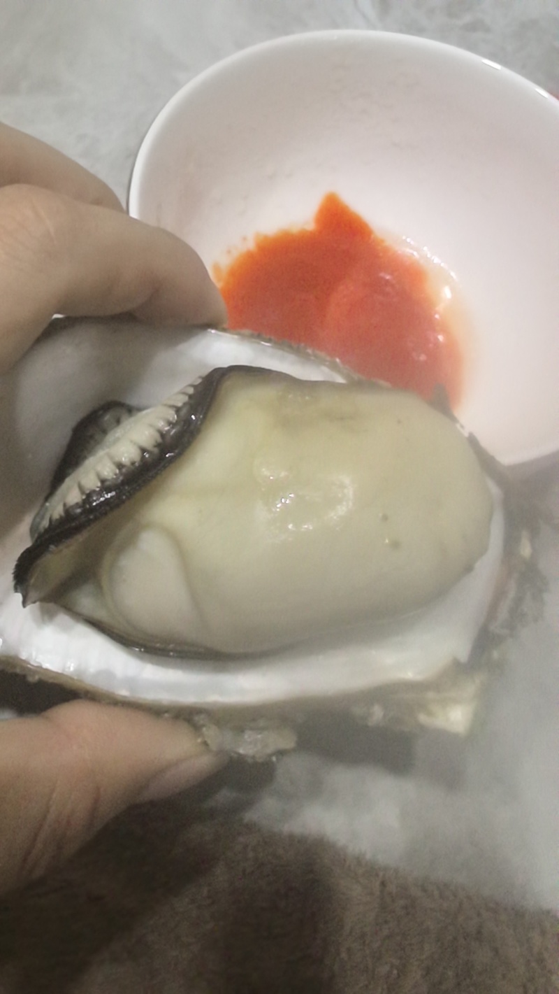 正宗湛江生蚝产地直销批发黄金三倍体。