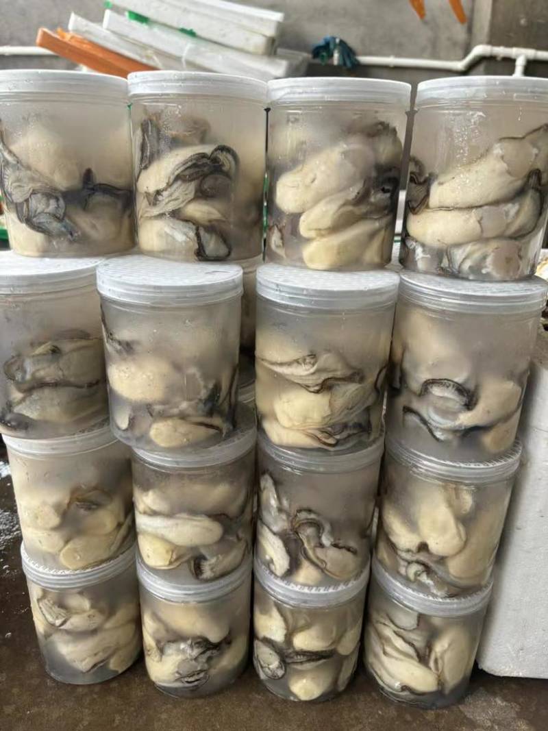 大中小规格蚝肉，大量供应