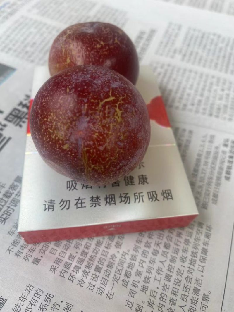 阿坝州茂汶红脆李已大量上市，各个规格都有