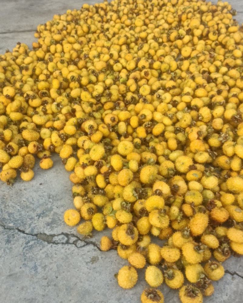 刺梨鲜果
