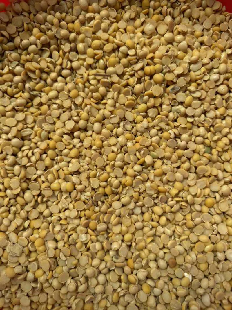 碎黄豆下脚料