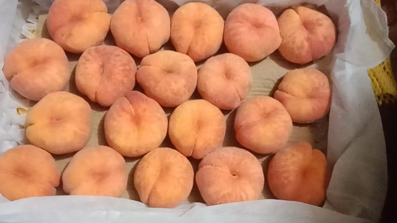 蟠桃不同品种展示