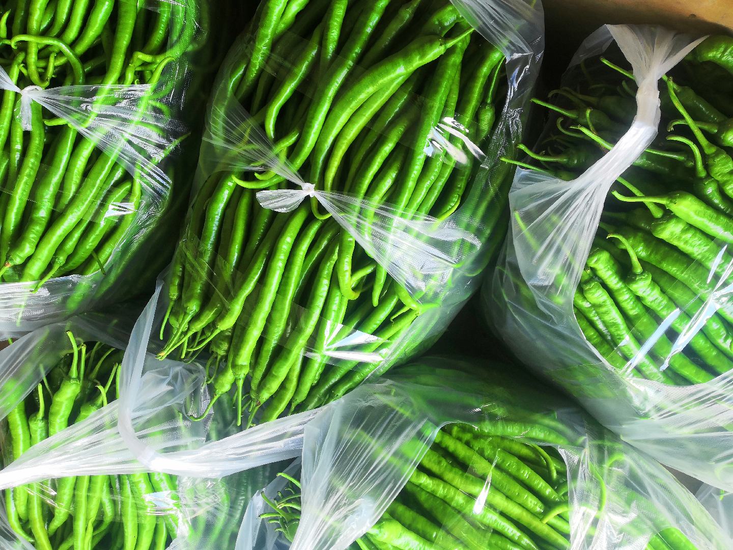 新鲜采摘的红绿尖椒整颗展示 尖椒整体图