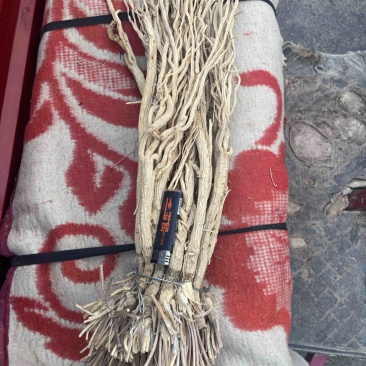 防风精品，无硫，自然晾晒，质量有保障，放心选购