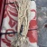 防风精品，无硫，自然晾晒，质量有保障，放心选购