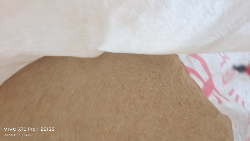 （推荐）黄粉虫虫沙保质保量可视频通话欢迎选购