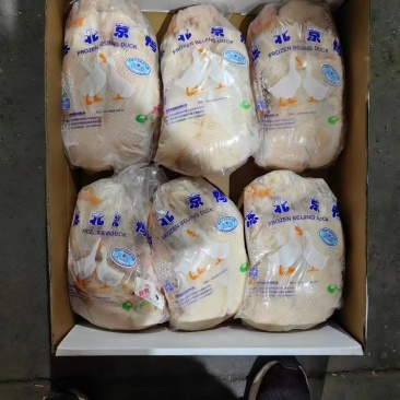 4斤以上鸭坯12吨