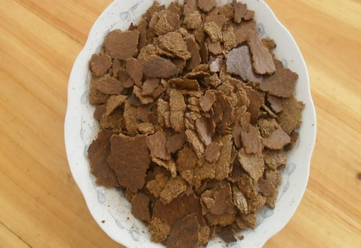 油菜籽显微结构