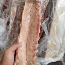 猪脊骨