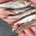 鱼干饲料鱼猫鱼风干刁油炸刁子干河虾一手货源实体店批发