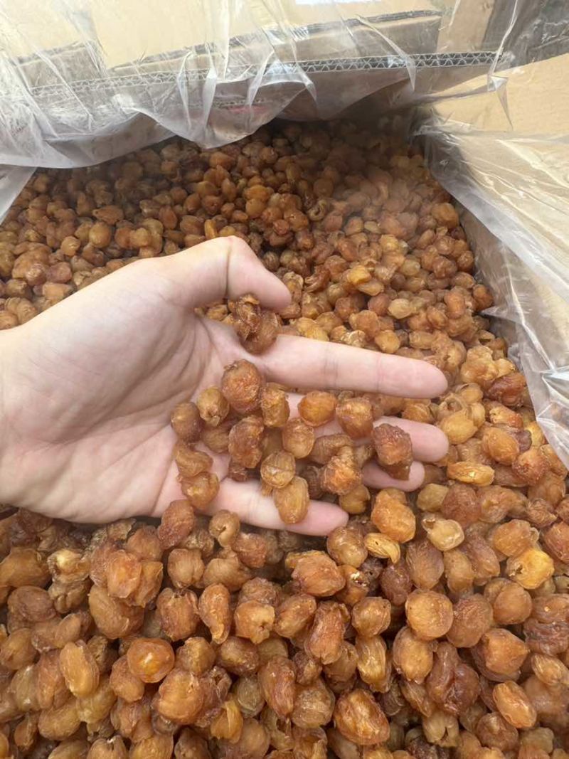 高州储良桂圆肉新货2025年