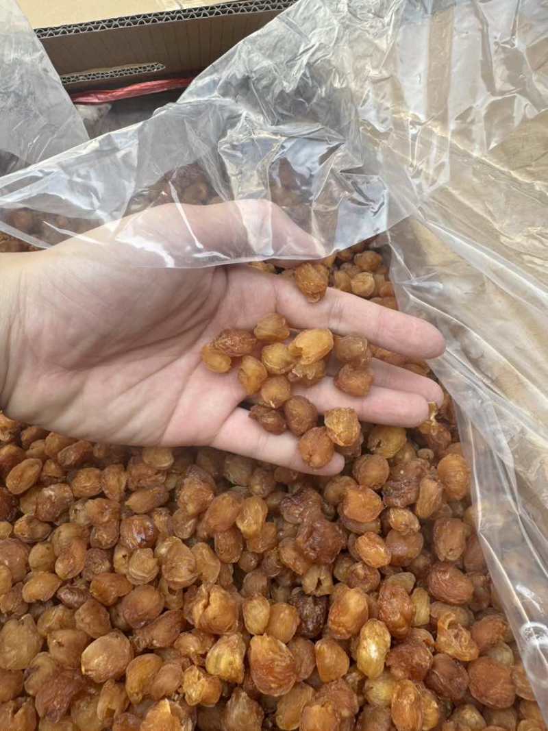 高州储良桂圆肉新货2025年
