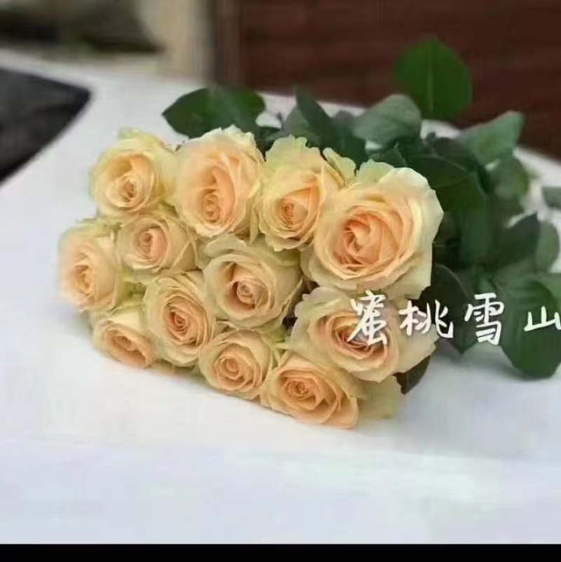 玫瑰每个地方叫法不一样，有叫月季的他的花瓣有大花瓣的，有小花