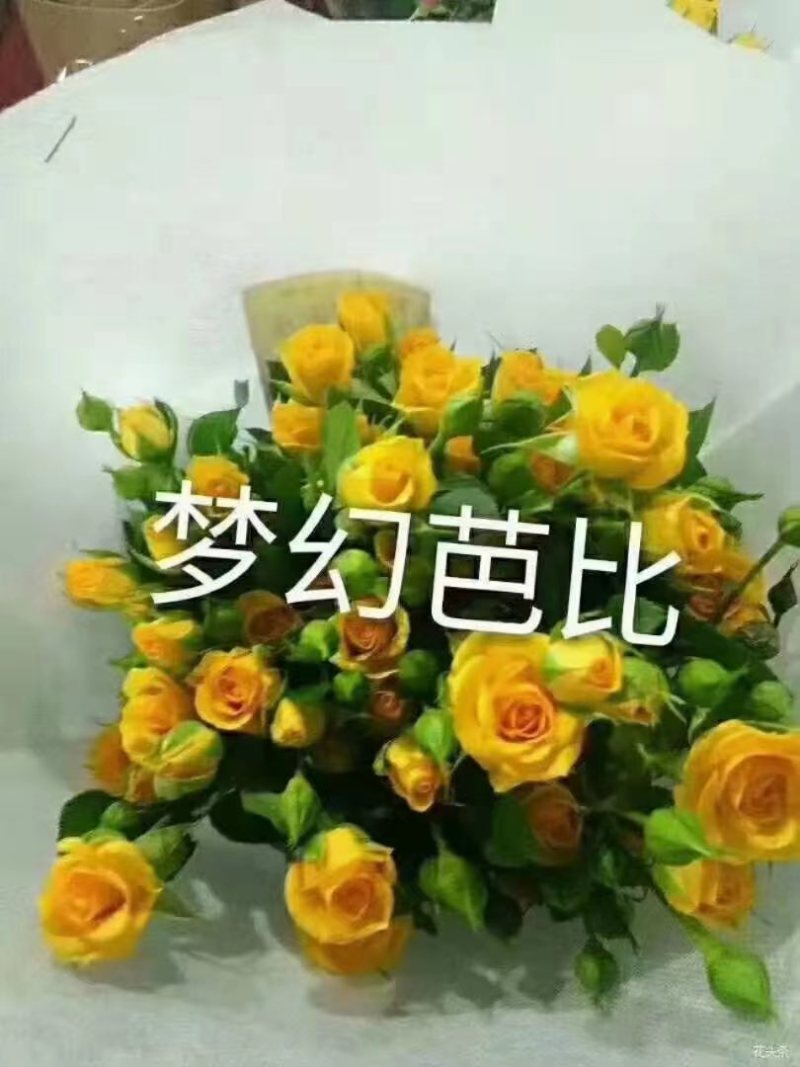玫瑰每个地方叫法不一样，有叫月季的他的花瓣有大花瓣的，有小花