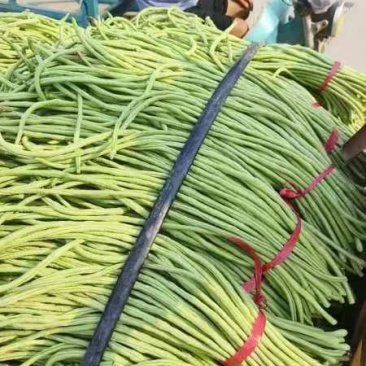 长豆角