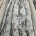 舟山小眼睛带鱼