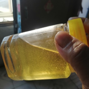 东北椴树蜜
