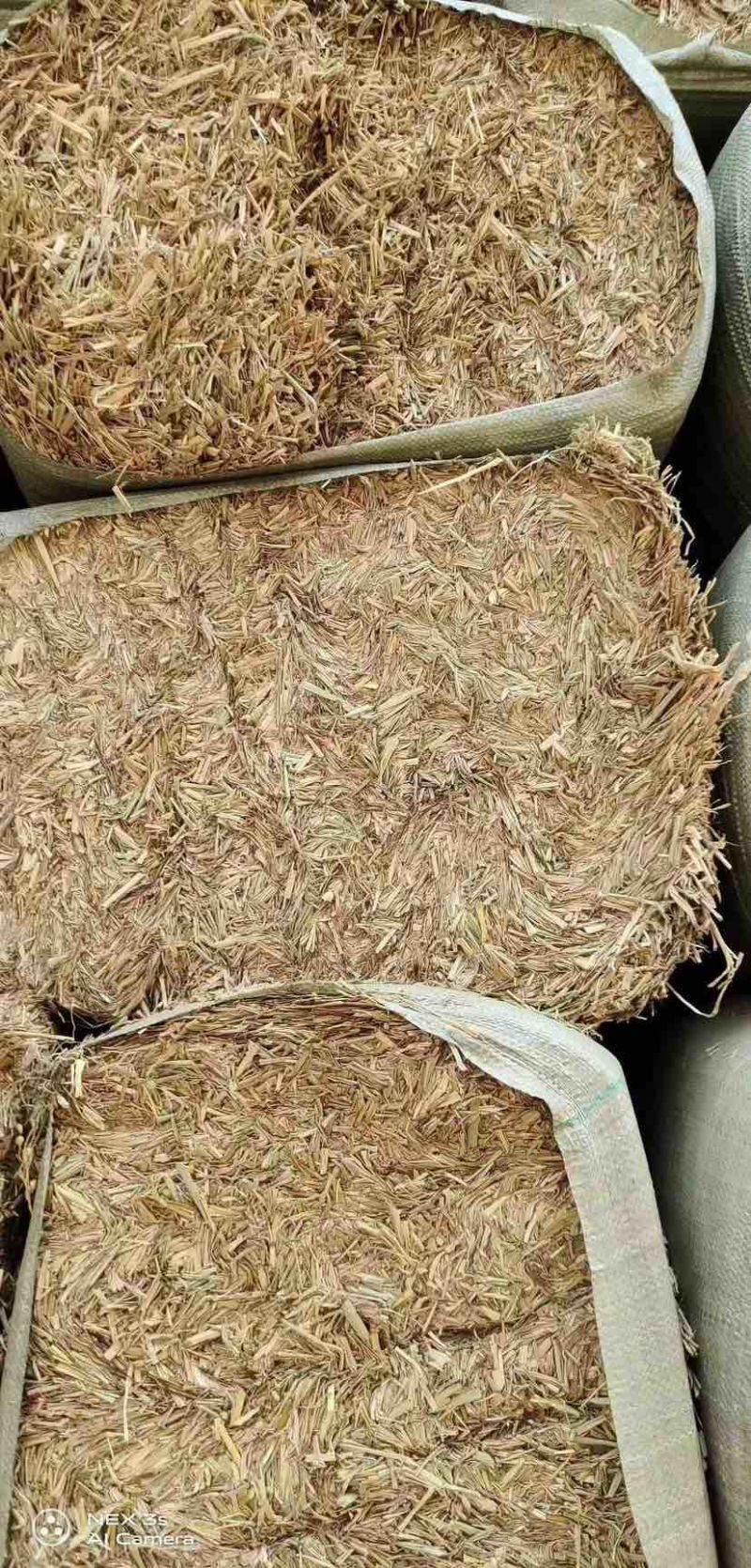【牛商优选】长稻草-工厂直销-价格优惠-可对接基地