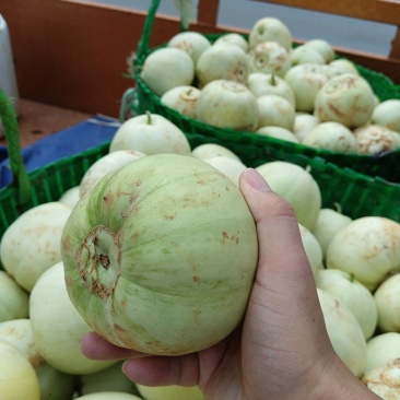 广西扶绥县香瓜