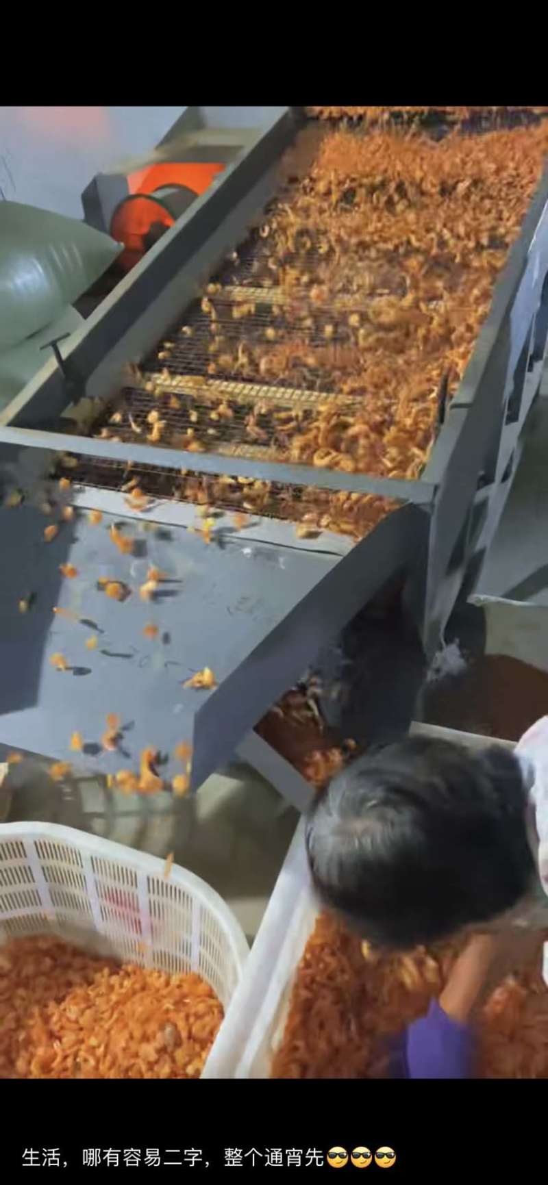 南美白对虾虾干，虾米干货，高品质，大型连锁超市专用，淡干
