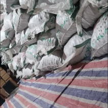 云南楚雄南华老树核桃2024新鲜烘干通货