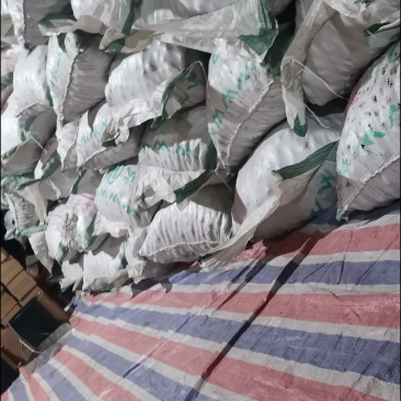 云南楚雄南华老树核桃2024新鲜烘干通货