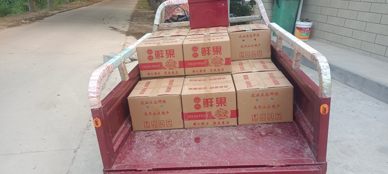乾州酥梨🍐