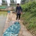 钓场鲤鱼