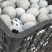 中秋，常年批发各种松花蛋，