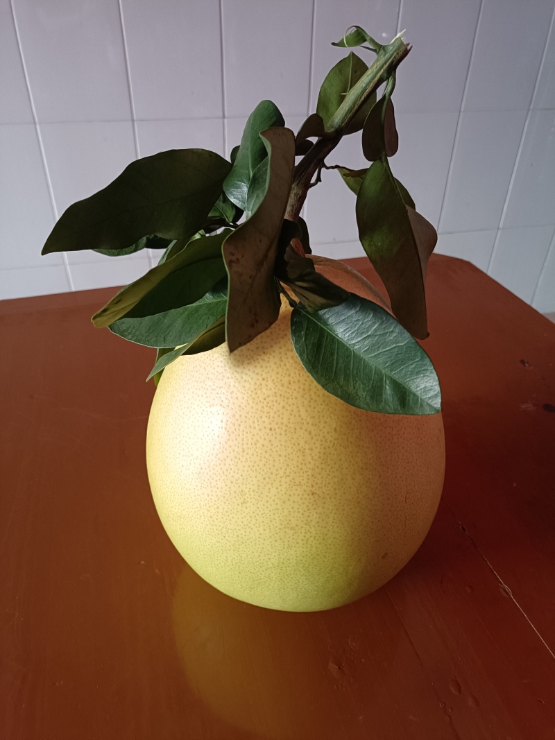 平和红心蜜柚