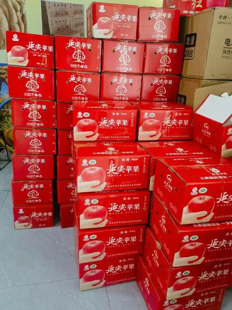 延安市延长县红富士苹果