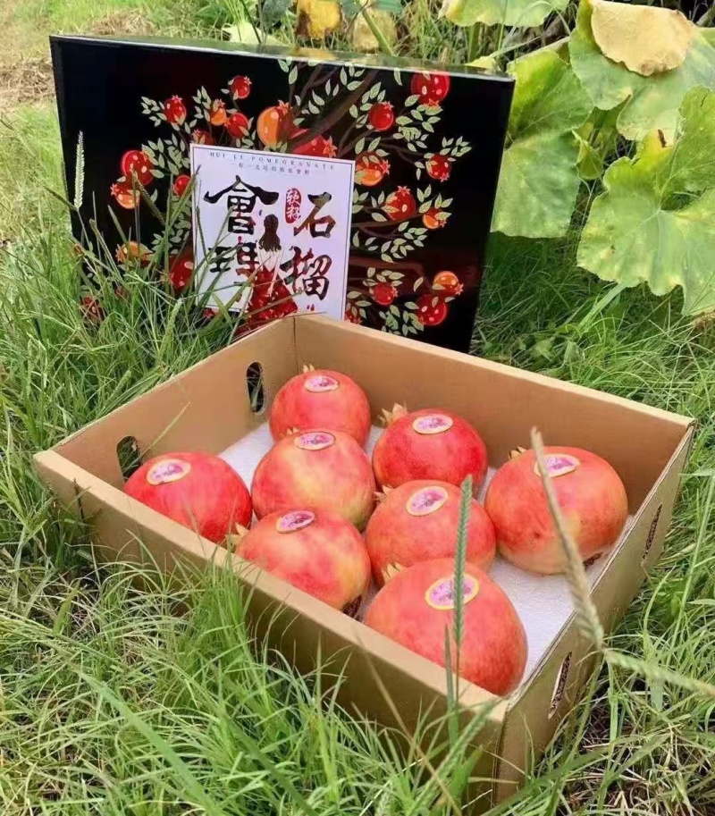 会理软籽石榴
