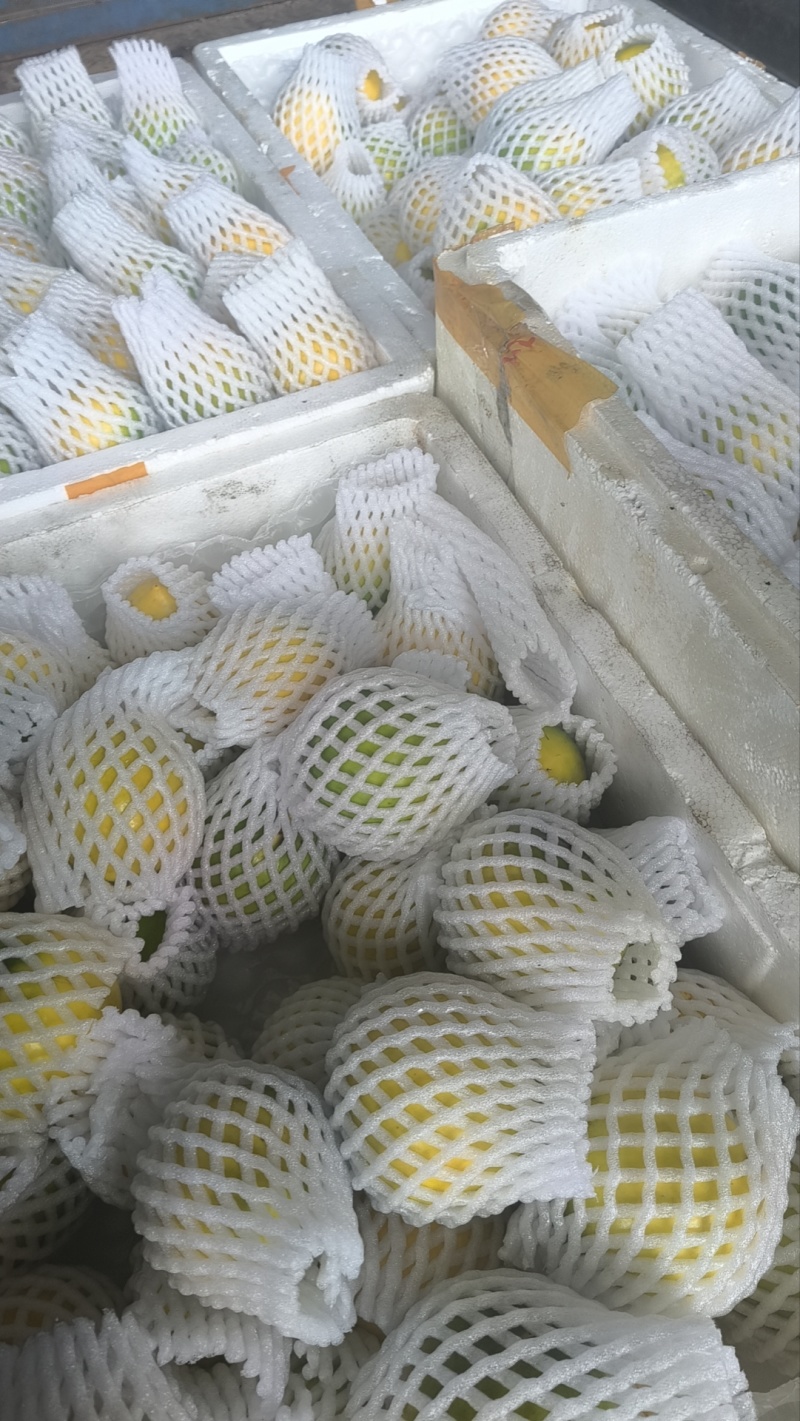 黄晶果代发