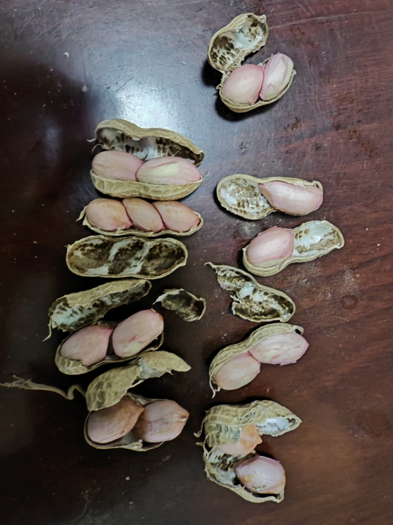 鲜花生