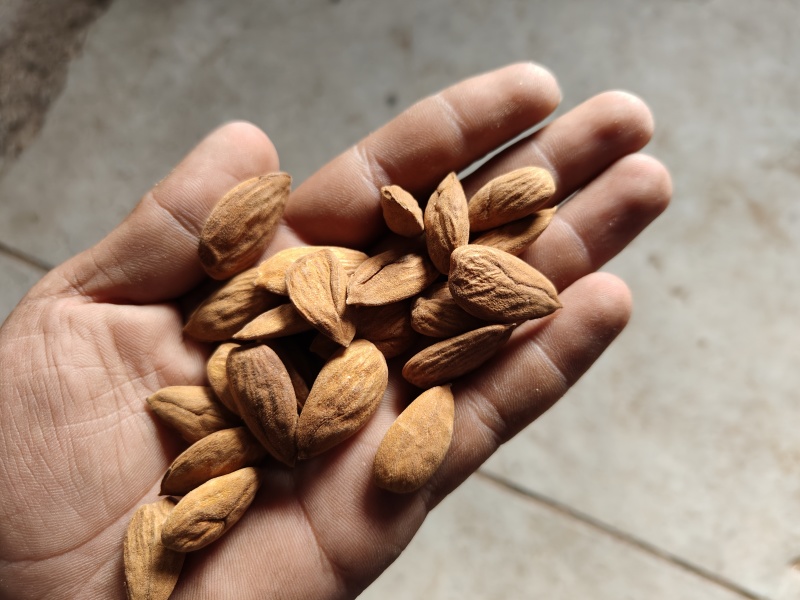 巴达木仁